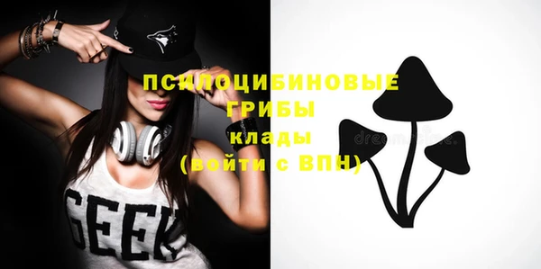 таблы Михайловск