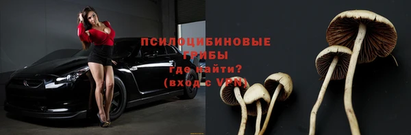 таблы Михайловск